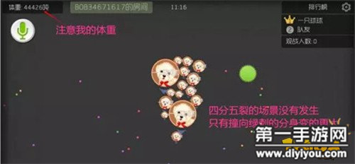 白嫩娇艳BBW盛放：女性魅力与风情一览无余