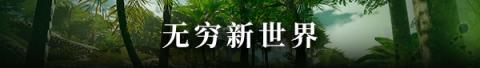 见证女性服装的多维成熟度：时尚大盘点：女性服装尺寸概览