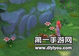 县委大院更新时间揭晓：全新篇章即将开启，剧集更新进度确定
