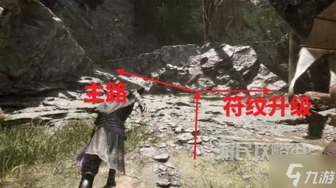 CKM密码子编码映射模式揭秘：密码含义与污点探讨