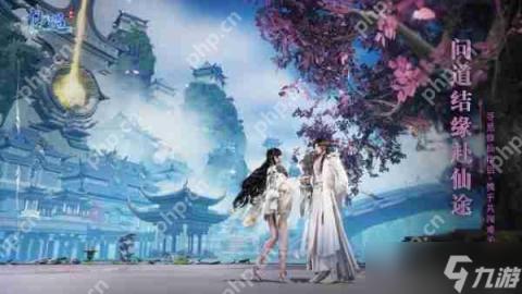 突破内容巅峰：实用指南揭秘